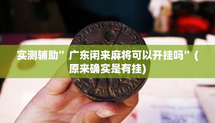 实测辅助”广东闲来麻将可以开挂吗”(原来确实是有挂)