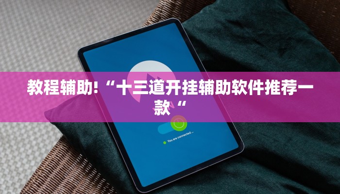 教程辅助!“十三道开挂辅助软件推荐一款“