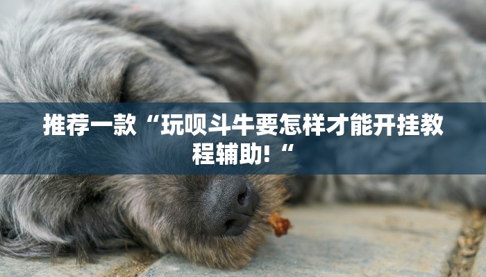 推荐一款“玩呗斗牛要怎样才能开挂教程辅助!“