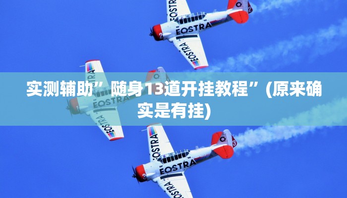实测辅助”随身13道开挂教程”(原来确实是有挂)