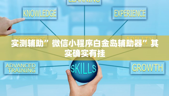 实测辅助”微信小程序白金岛辅助器”其实确实有挂