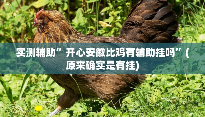 实测辅助”开心安徽比鸡有辅助挂吗”(原来确实是有挂)