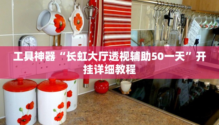 工具神器“长虹大厅透视辅助50一天”开挂详细教程