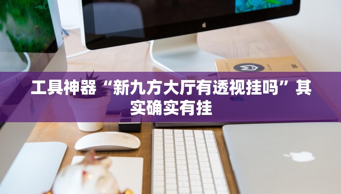 工具神器“新九方大厅有透视挂吗”其实确实有挂
