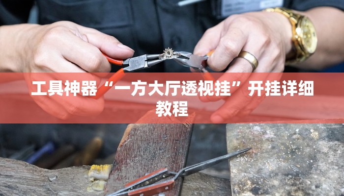 工具神器“一方大厅透视挂”开挂详细教程