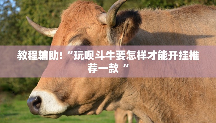 教程辅助!“玩呗斗牛要怎样才能开挂推荐一款“