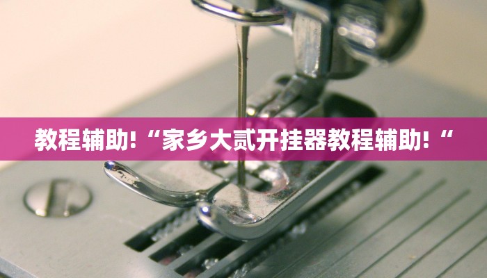 教程辅助!“家乡大贰开挂器教程辅助!“