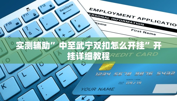 实测辅助”中至武宁双扣怎么开挂”开挂详细教程