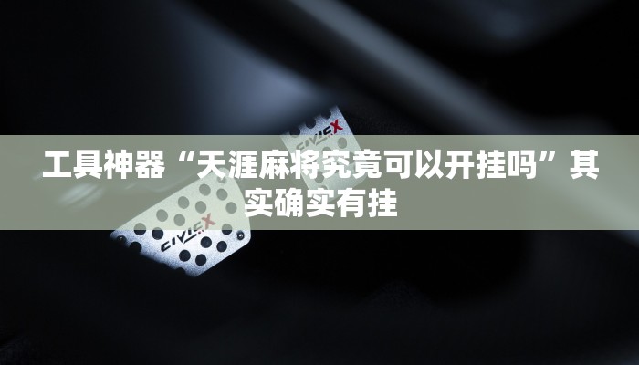 工具神器“天涯麻将究竟可以开挂吗”其实确实有挂