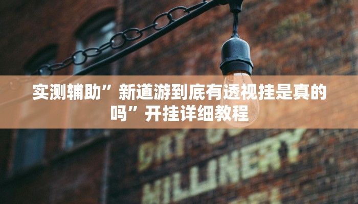 实测辅助”新道游到底有透视挂是真的吗”开挂详细教程