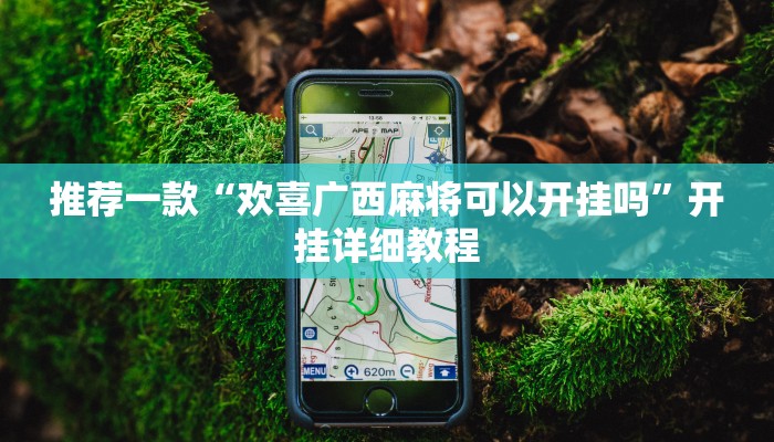推荐一款“欢喜广西麻将可以开挂吗”开挂详细教程