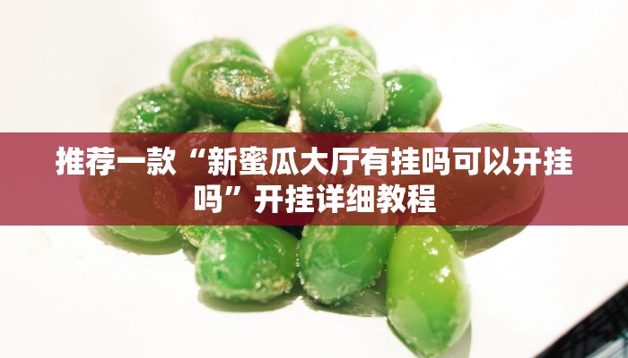 推荐一款“新蜜瓜大厅有挂吗可以开挂吗”开挂详细教程