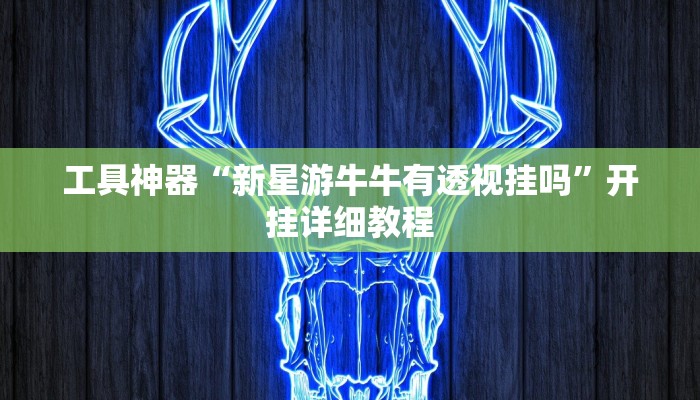 工具神器“新星游牛牛有透视挂吗”开挂详细教程
