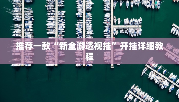 推荐一款“新全游透视挂”开挂详细教程