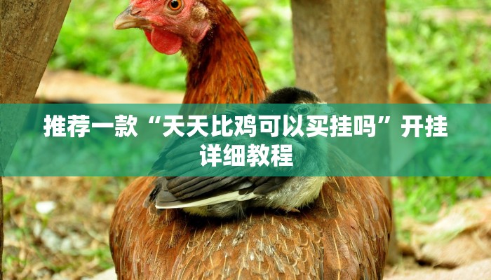 推荐一款“天天比鸡可以买挂吗”开挂详细教程