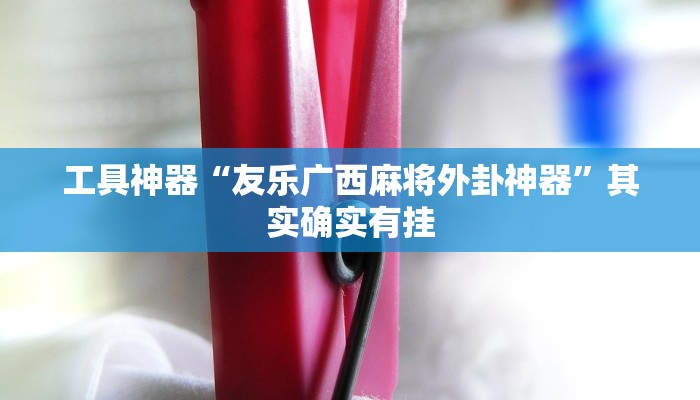 工具神器“友乐广西麻将外卦神器”其实确实有挂