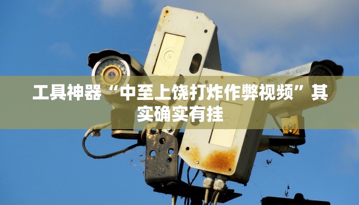 工具神器“中至上饶打炸作弊视频”其实确实有挂