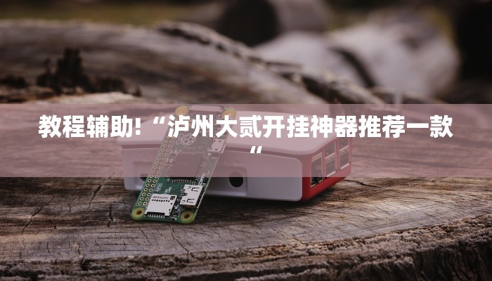 教程辅助!“泸州大贰开挂神器推荐一款“