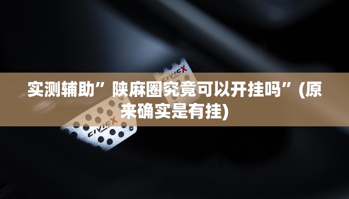 实测辅助”陕麻圈究竟可以开挂吗”(原来确实是有挂)