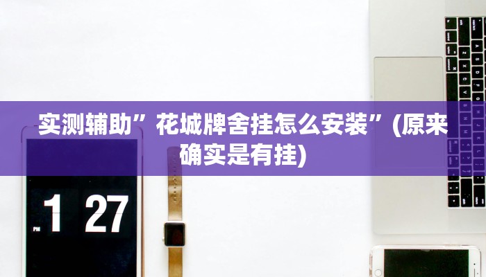 实测辅助”花城牌舍挂怎么安装”(原来确实是有挂)