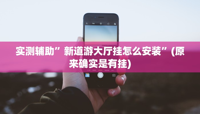 实测辅助”新道游大厅挂怎么安装”(原来确实是有挂)