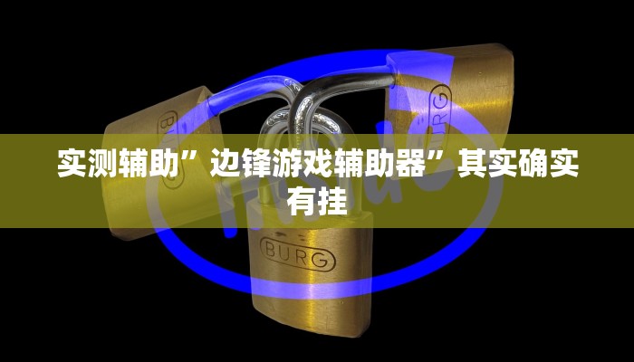 实测辅助”边锋游戏辅助器”其实确实有挂