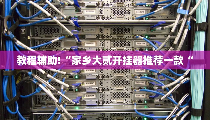 教程辅助!“家乡大贰开挂器推荐一款“