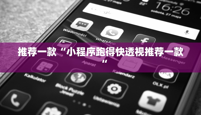 推荐一款“小程序跑得快透视推荐一款“