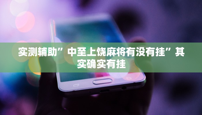 实测辅助”中至上饶麻将有没有挂”其实确实有挂