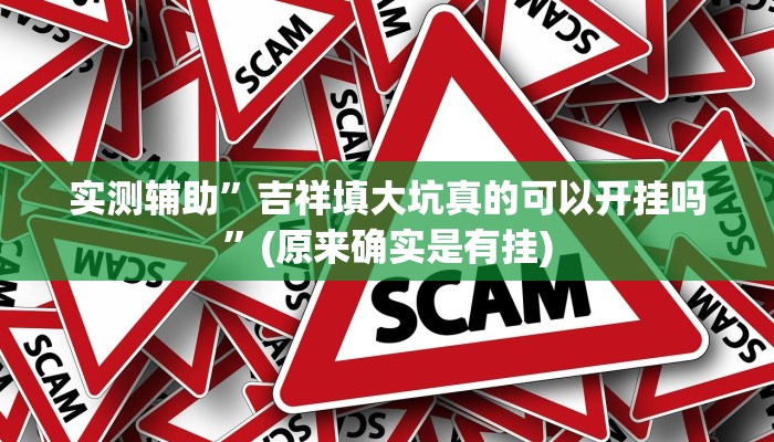实测辅助”吉祥填大坑真的可以开挂吗”(原来确实是有挂)