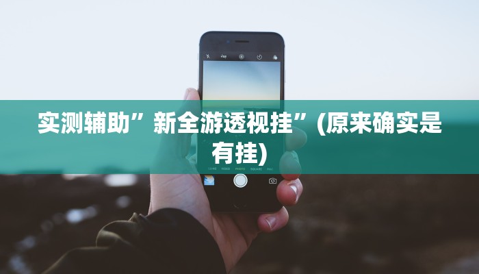 实测辅助”新全游透视挂”(原来确实是有挂)