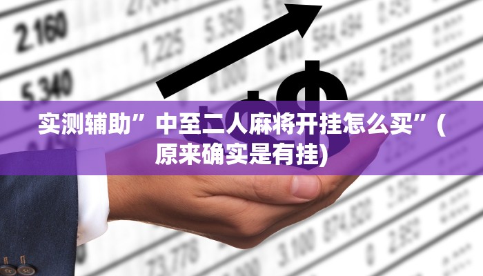实测辅助”中至二人麻将开挂怎么买”(原来确实是有挂)