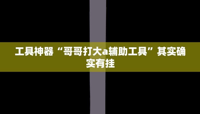 工具神器“哥哥打大a辅助工具”其实确实有挂