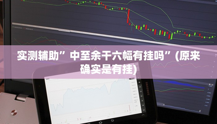 实测辅助”中至余干六幅有挂吗”(原来确实是有挂)