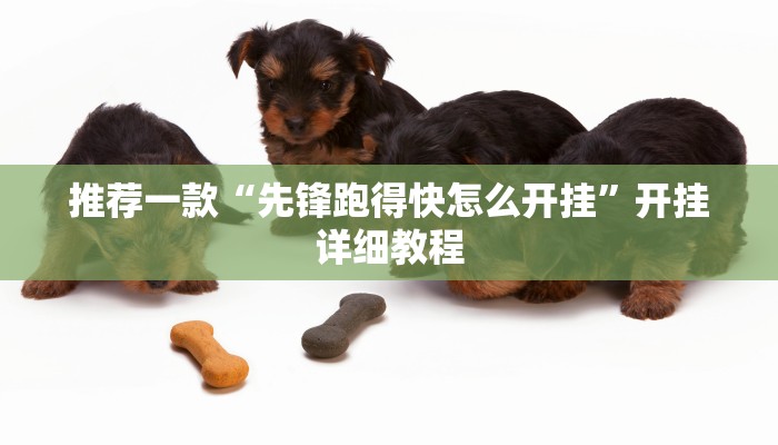实测辅助”蓝鲸大厅拼三张开挂透视”(原来确实是有挂)