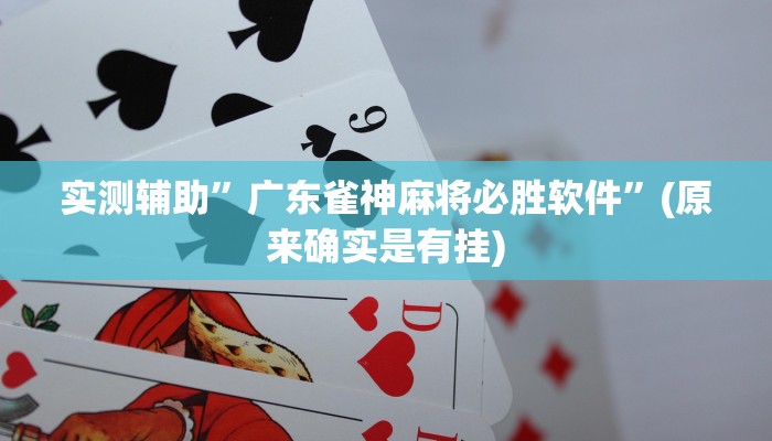 实测辅助”广东雀神麻将必胜软件”(原来确实是有挂)