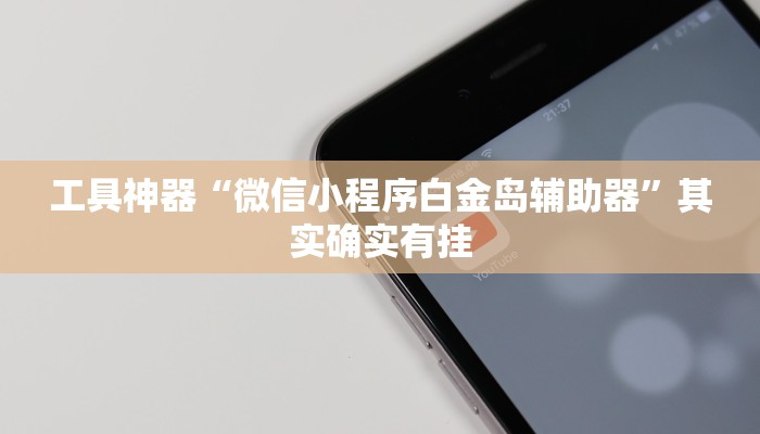 工具神器“微信小程序白金岛辅助器”其实确实有挂