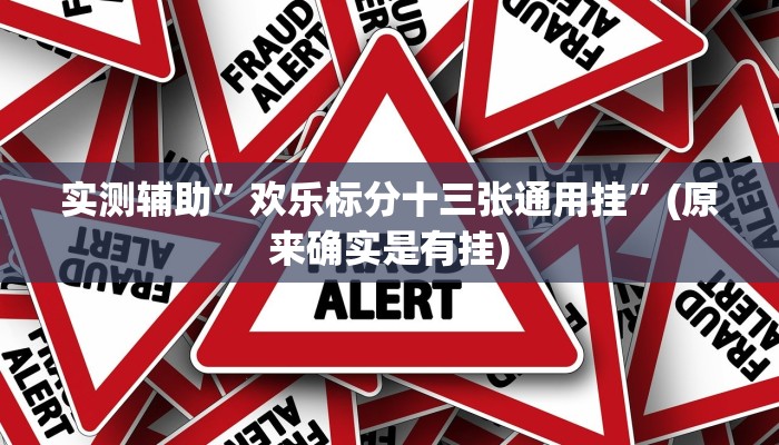 实测辅助”欢乐标分十三张通用挂”(原来确实是有挂)