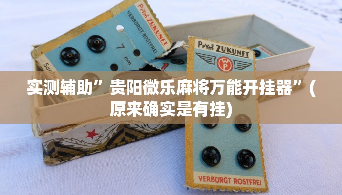 实测辅助”贵阳微乐麻将万能开挂器”(原来确实是有挂)