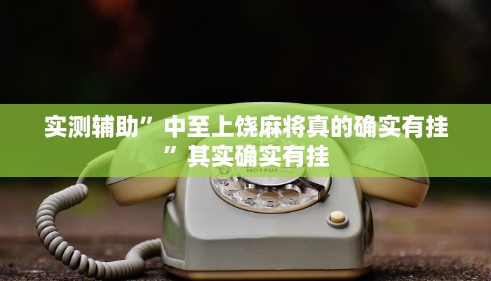 实测辅助”中至上饶麻将真的确实有挂”其实确实有挂