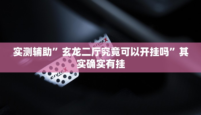 实测辅助”玄龙二厅究竟可以开挂吗”其实确实有挂