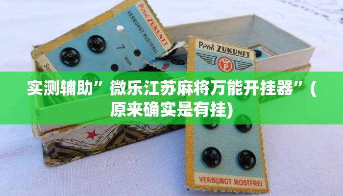 实测辅助”微乐江苏麻将万能开挂器”(原来确实是有挂)