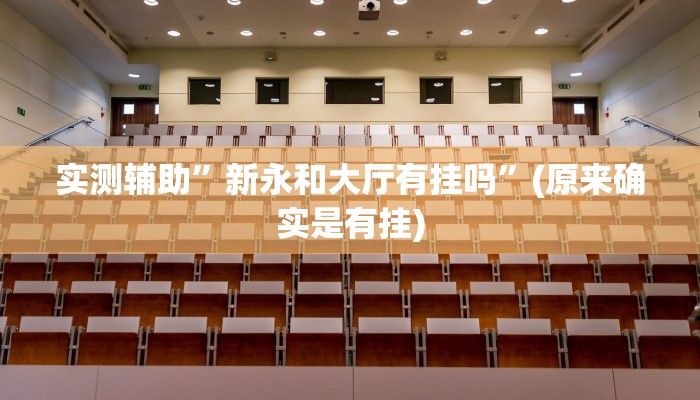 实测辅助”新永和大厅有挂吗”(原来确实是有挂)