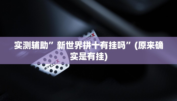 实测辅助”新世界拼十有挂吗”(原来确实是有挂)