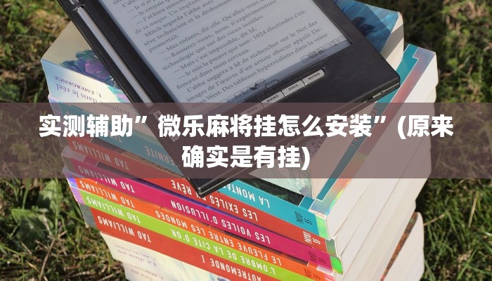 实测辅助”七彩佬腌菜辅助开挂”(原来确实是有挂)