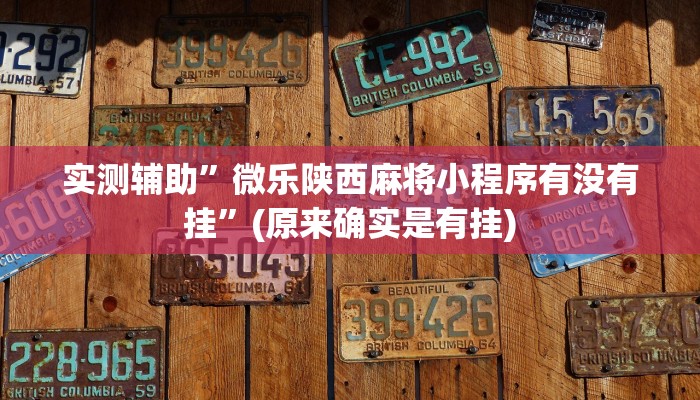 实测辅助”微乐陕西麻将小程序有没有挂”(原来确实是有挂)