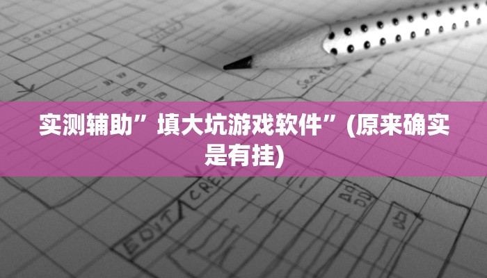 实测辅助”填大坑游戏软件”(原来确实是有挂)