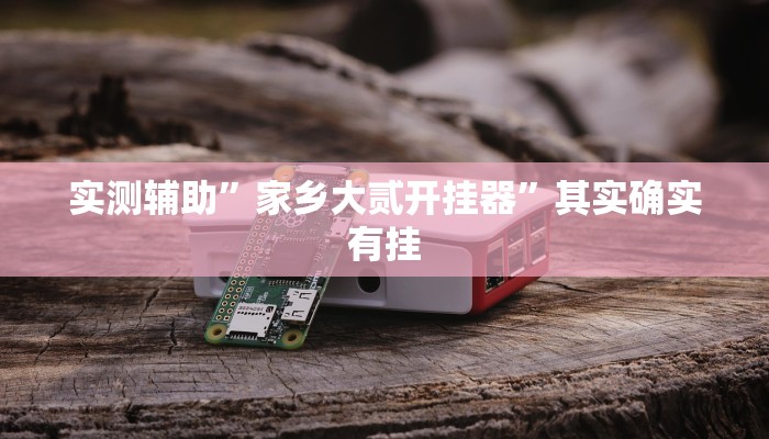 实测辅助”家乡大贰开挂器”其实确实有挂