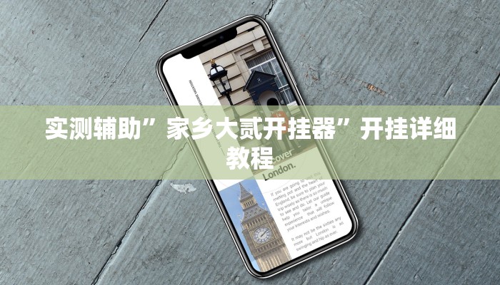 实测辅助”家乡大贰开挂器”开挂详细教程