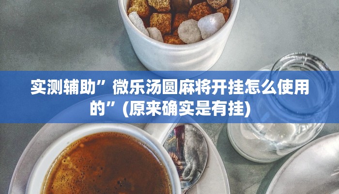 实测辅助”微乐汤圆麻将开挂怎么使用的”(原来确实是有挂)